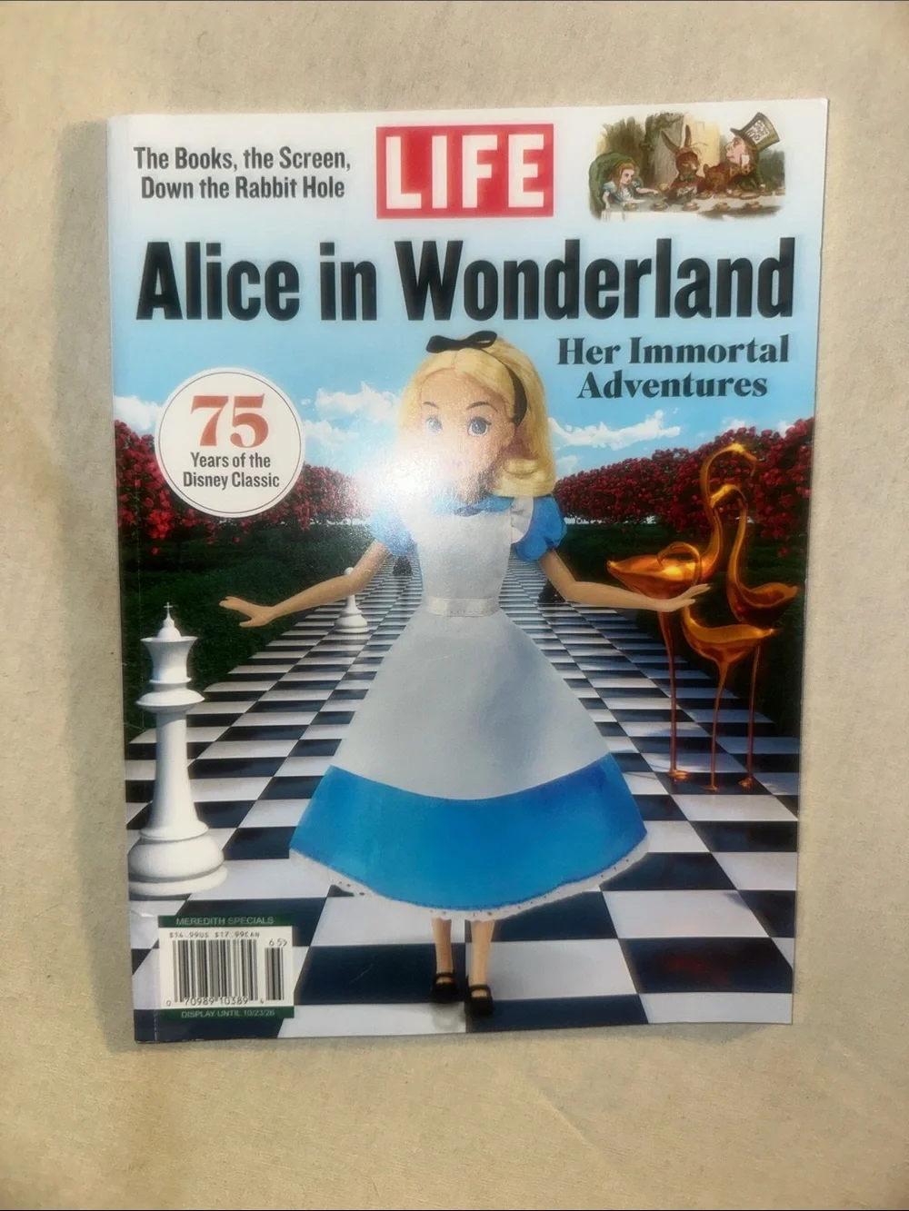 Vintage Collectible Alice in Wonderland Kids Costume Dress - Blue & White